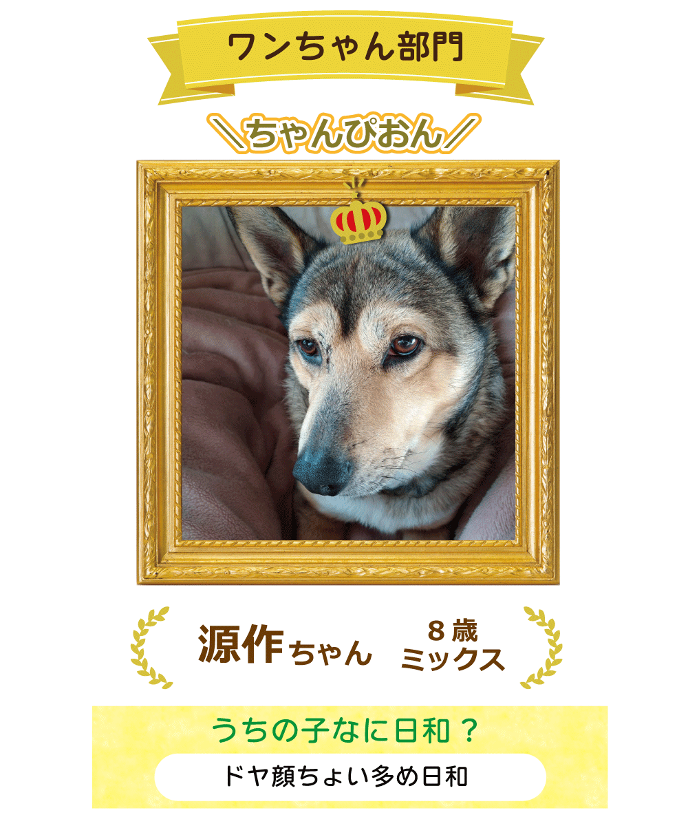 ��񂿂�񕔖傿���҂���