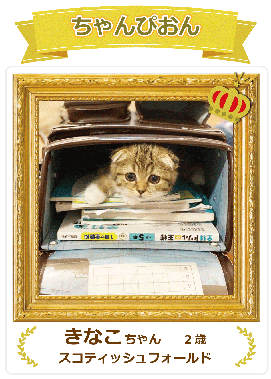 Instagram���傿���҂���