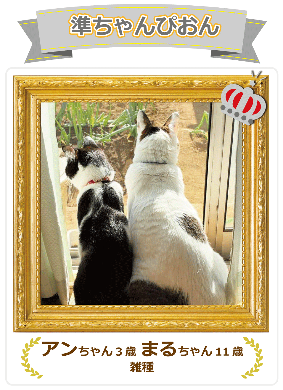 Instagram�������҂���