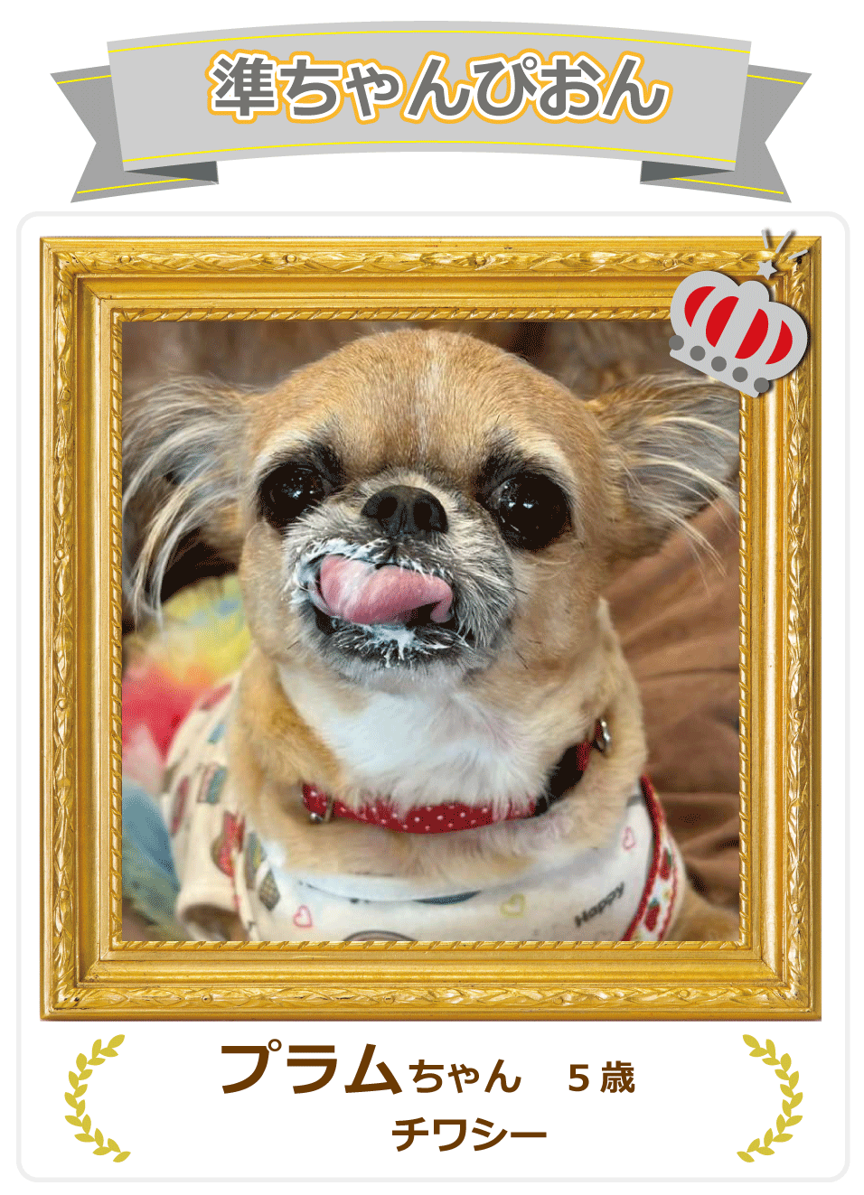 Instagram�������҂���