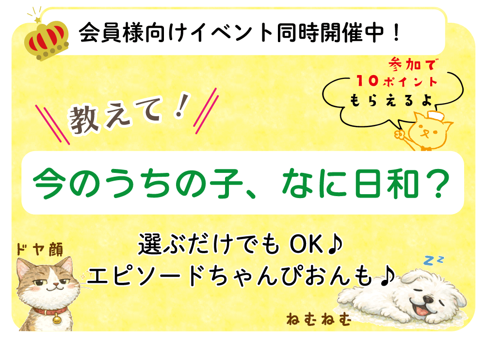 ����C�x���g�����J�Ò�