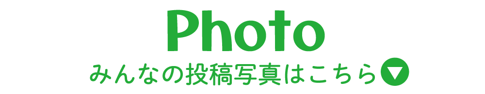 ����ʐ^�ꗗ