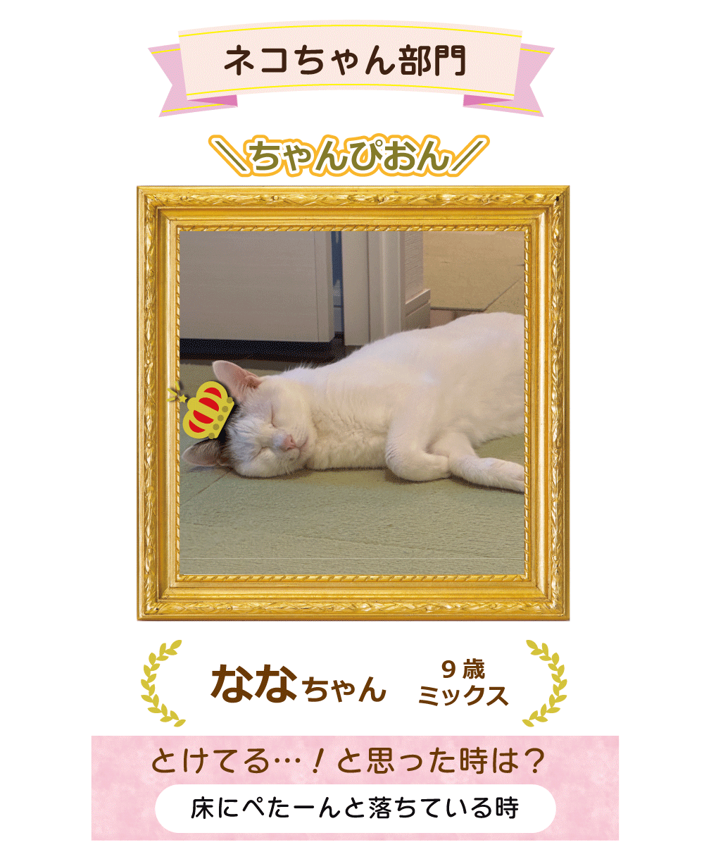 �L����񕔖傿���҂���