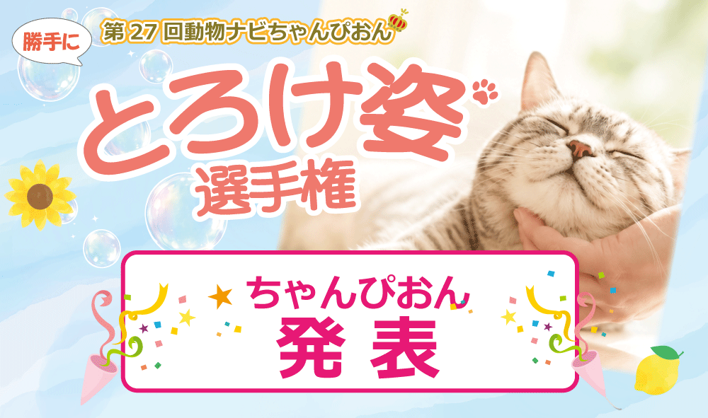 �Ƃ낯�p�I�茠���ʔ��\_�����i�r���