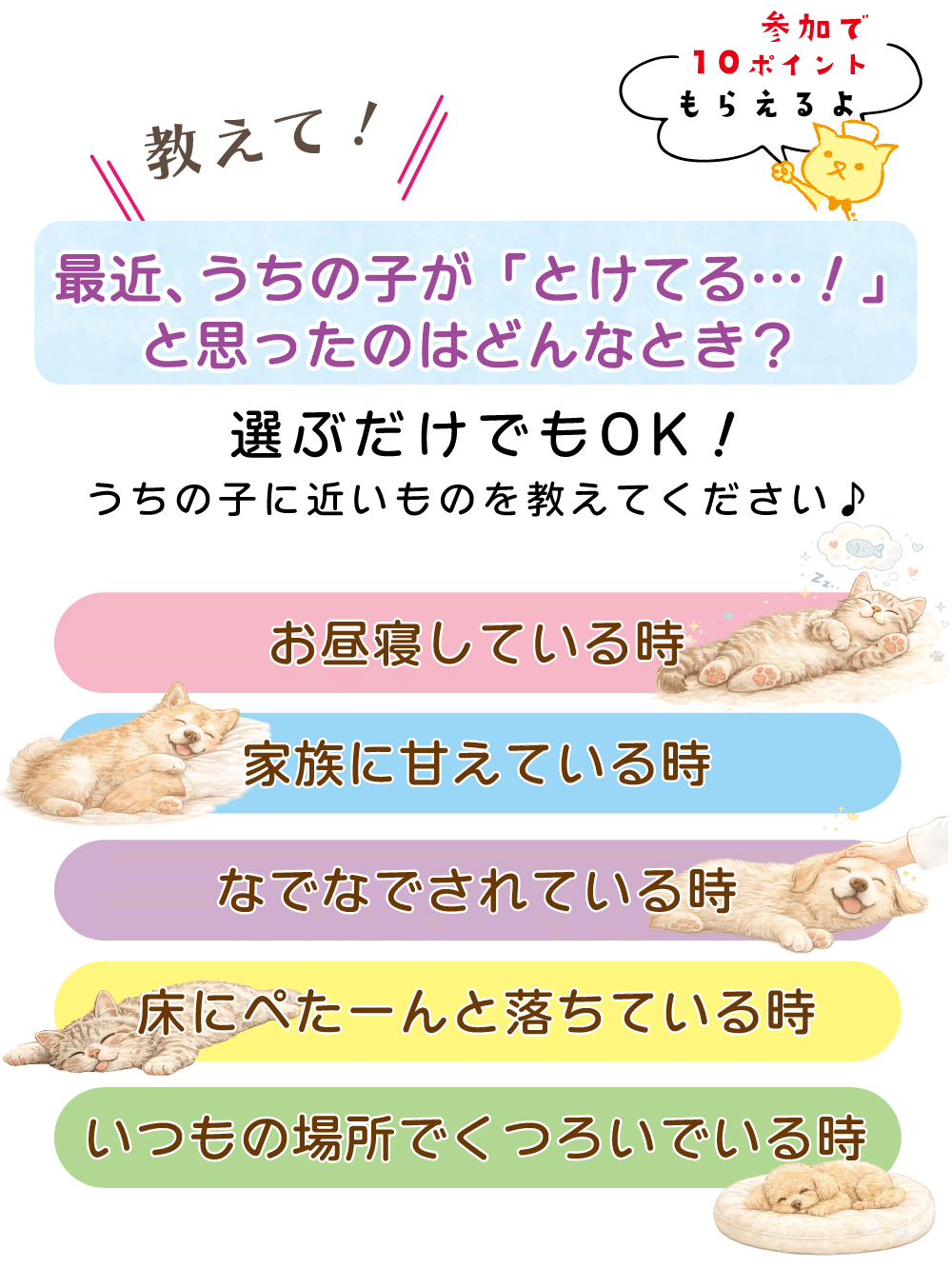 �Ƃ낯�p�A���P�[�g���e