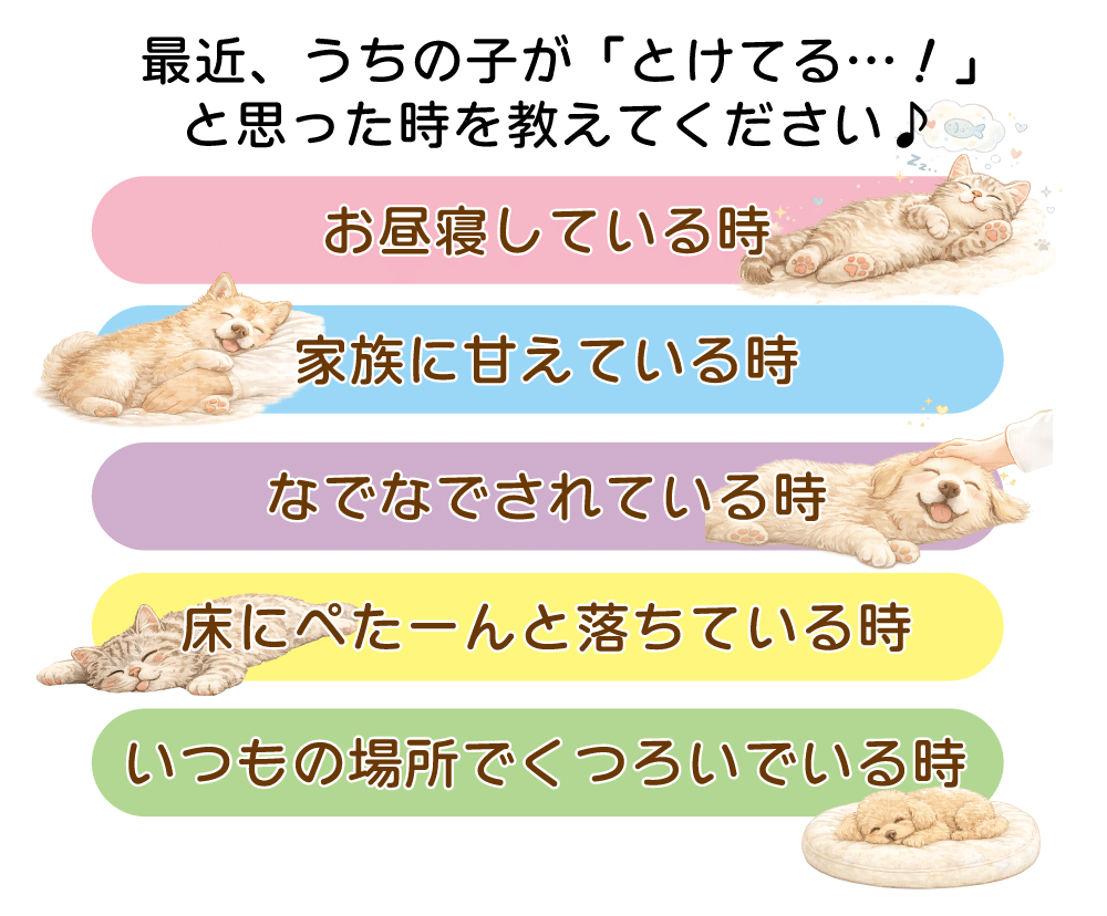 �Ƃ낯�p�I�茠 | �����i�r