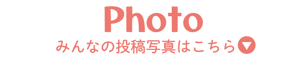 ����ʐ^�ꗗ