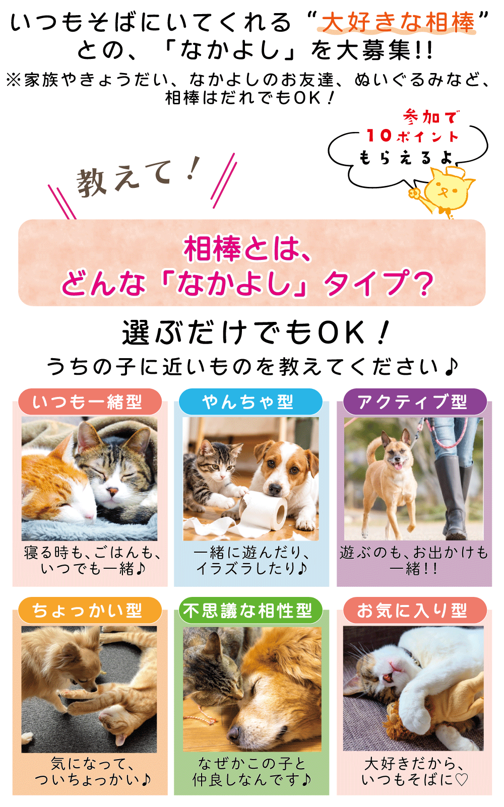 �Ȃ��悵�p�A���P�[�g���e