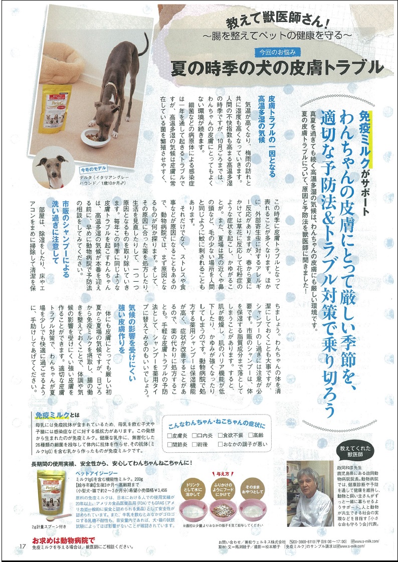 Pet IgG 離乳食 200g ペットアイジージー（PET IGG）(200g (パウダー)): ｜動物