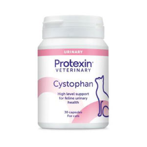 �V�X�g�t�@���L�p