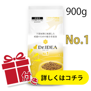 ★プレゼント付★DR.IDEAドクターイデア No.1 下部尿路に配慮した成猫のための総合栄養食