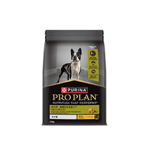 ���p�@�����p�@���N�I�ȑ̏d�P�A�@�`�L���i�ق��������j